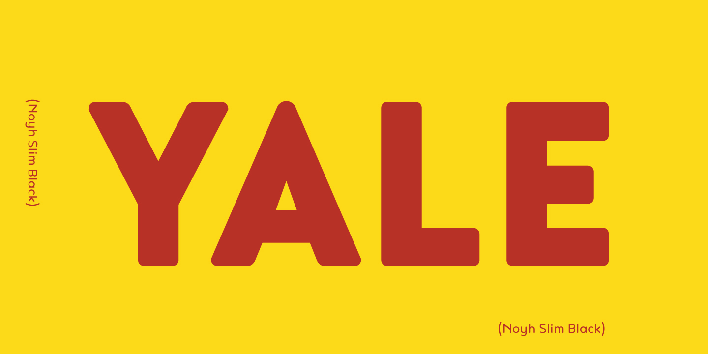 Noyh R Bold Italic Font preview